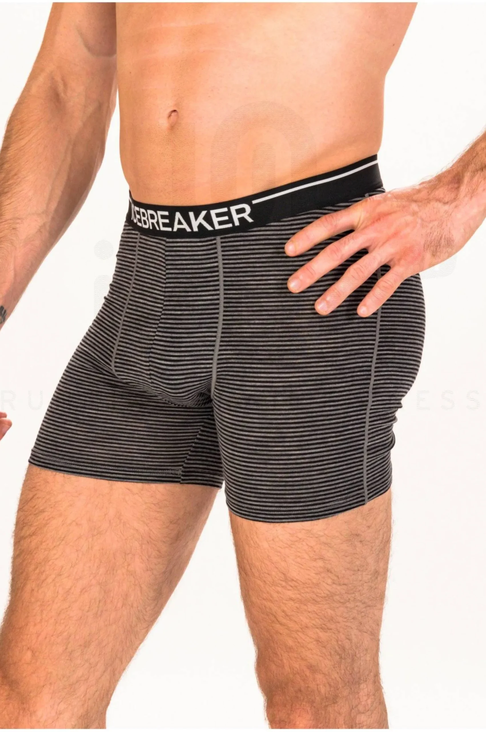 Anatomica Mérinos M