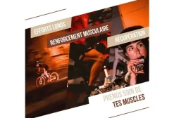 Barre protéinée bio