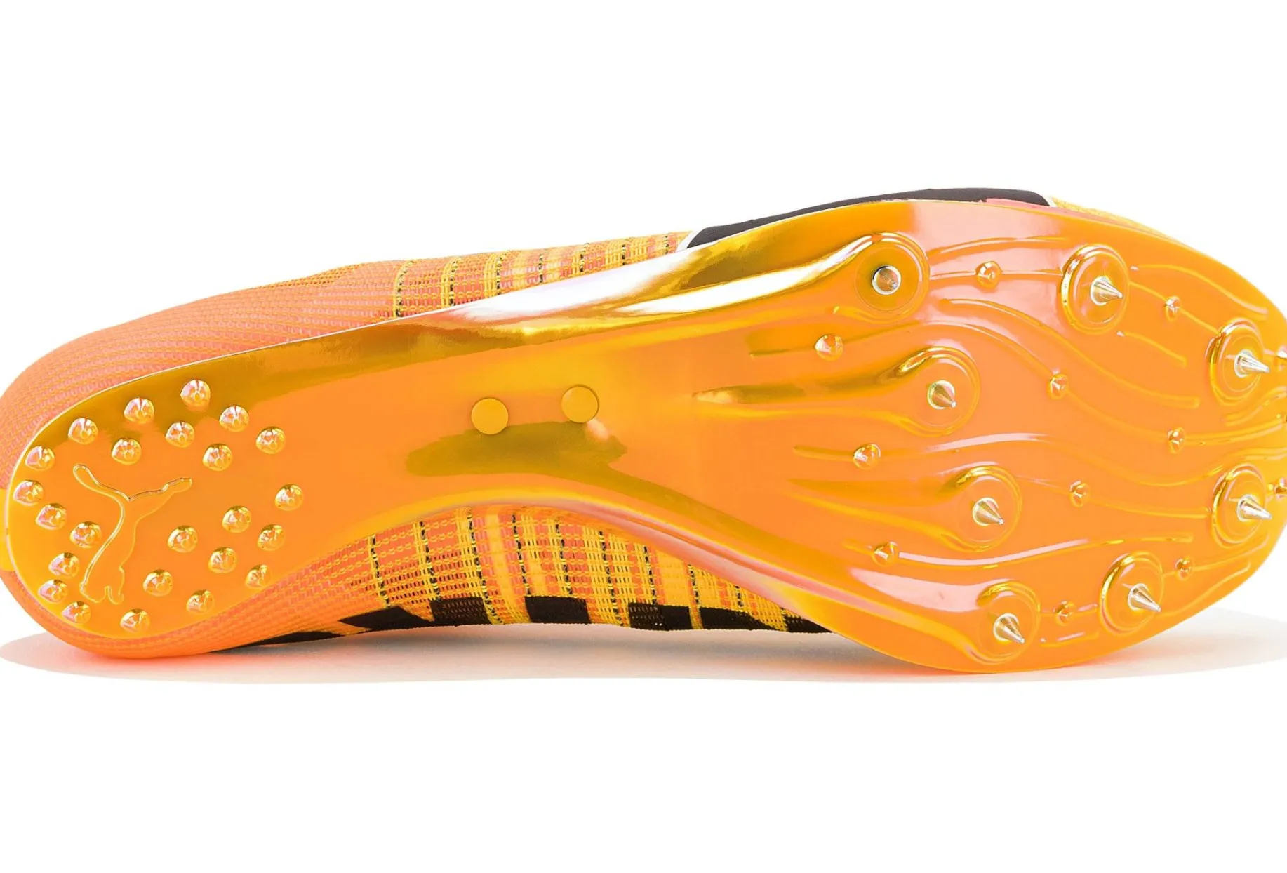 evoSPEED Nitro Sprint 2 W femme