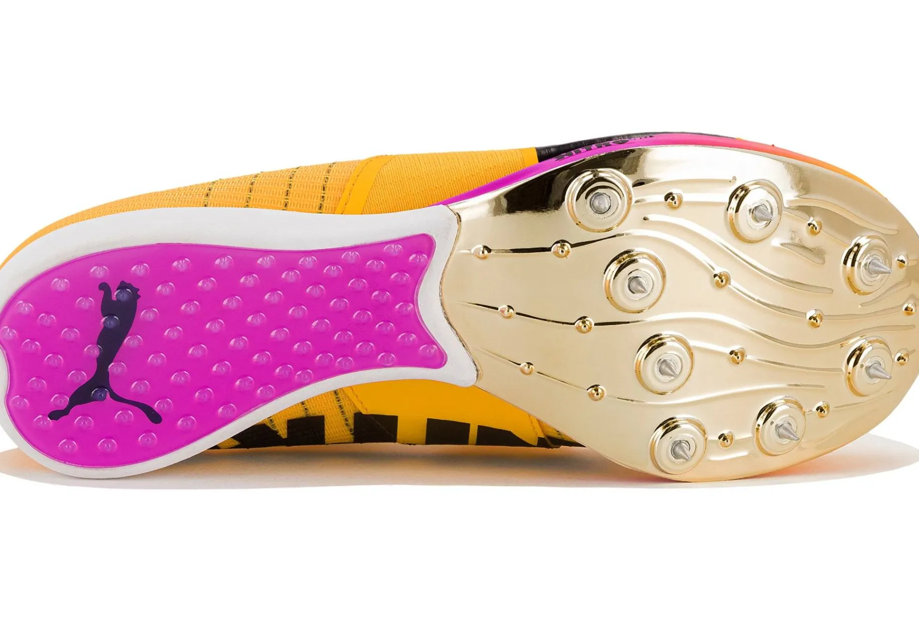 evoSPEED Tokyo Nitro Long Jump femme