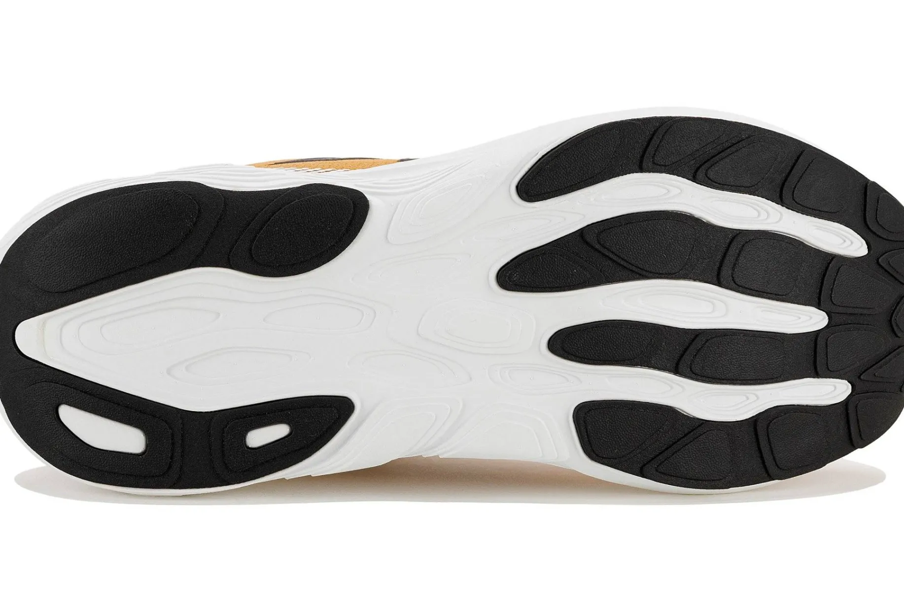 Fresh Foam X 880 V15