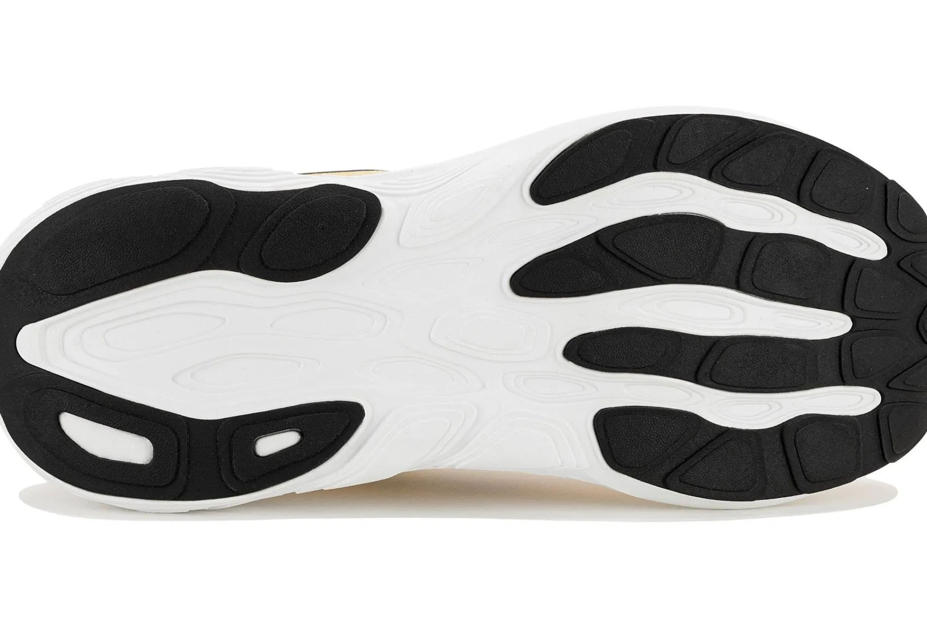 Fresh Foam X 880 V15 femme