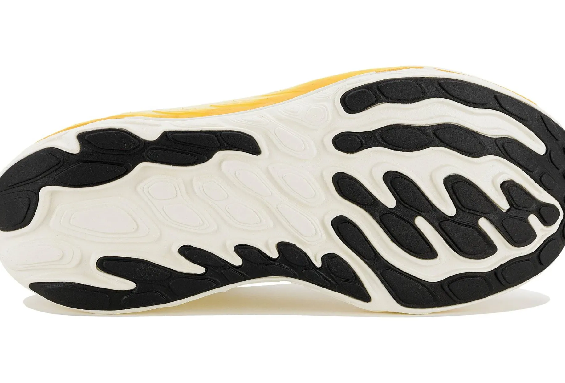 Fresh Foam X Vongo V6 femme