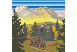 No Limit Walk Graphik