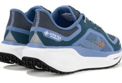 Pegasus 41 Gore-Tex femme