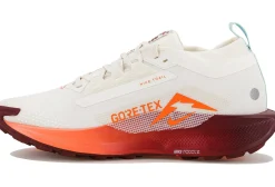 Pegasus Trail 5 Gore-Tex femme