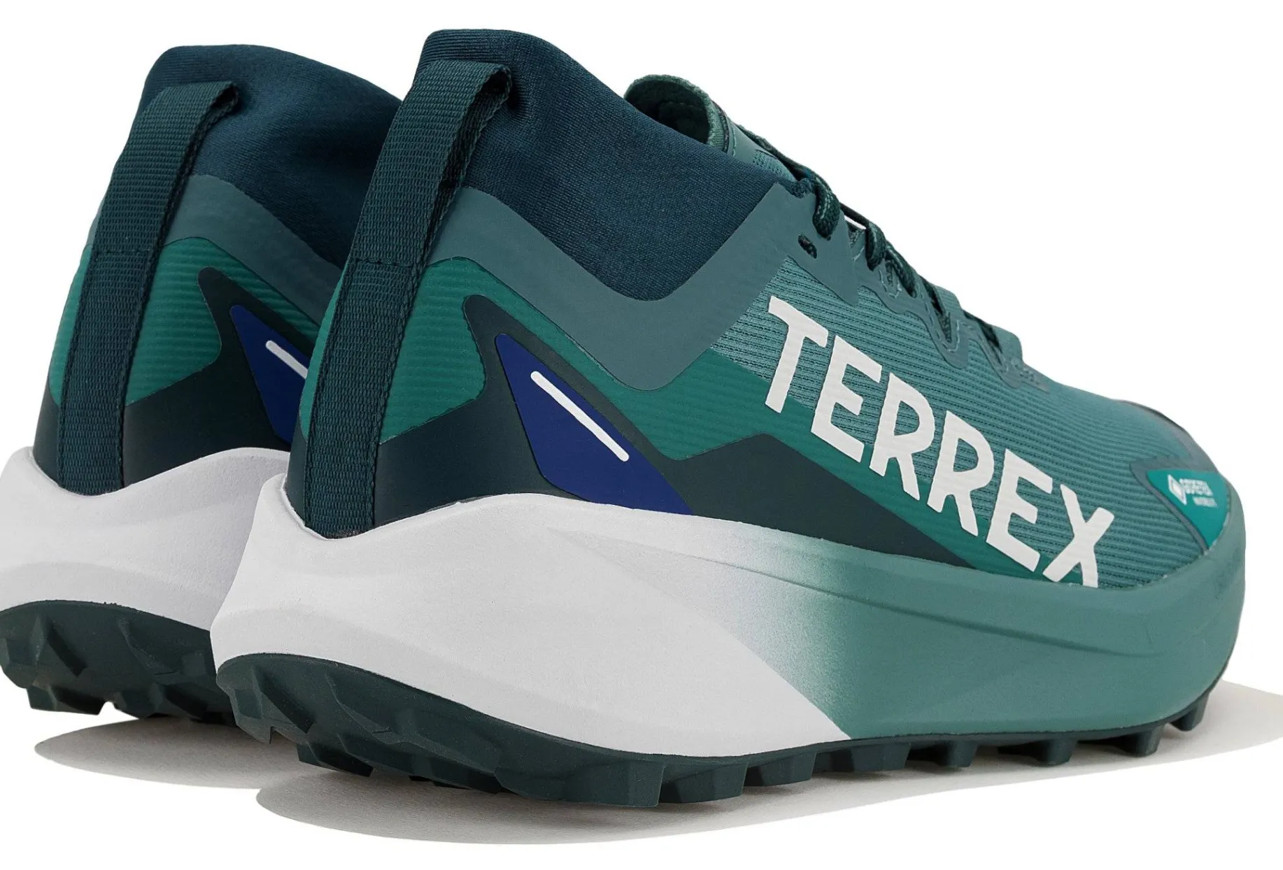 Terrex Agravic Gore-Tex