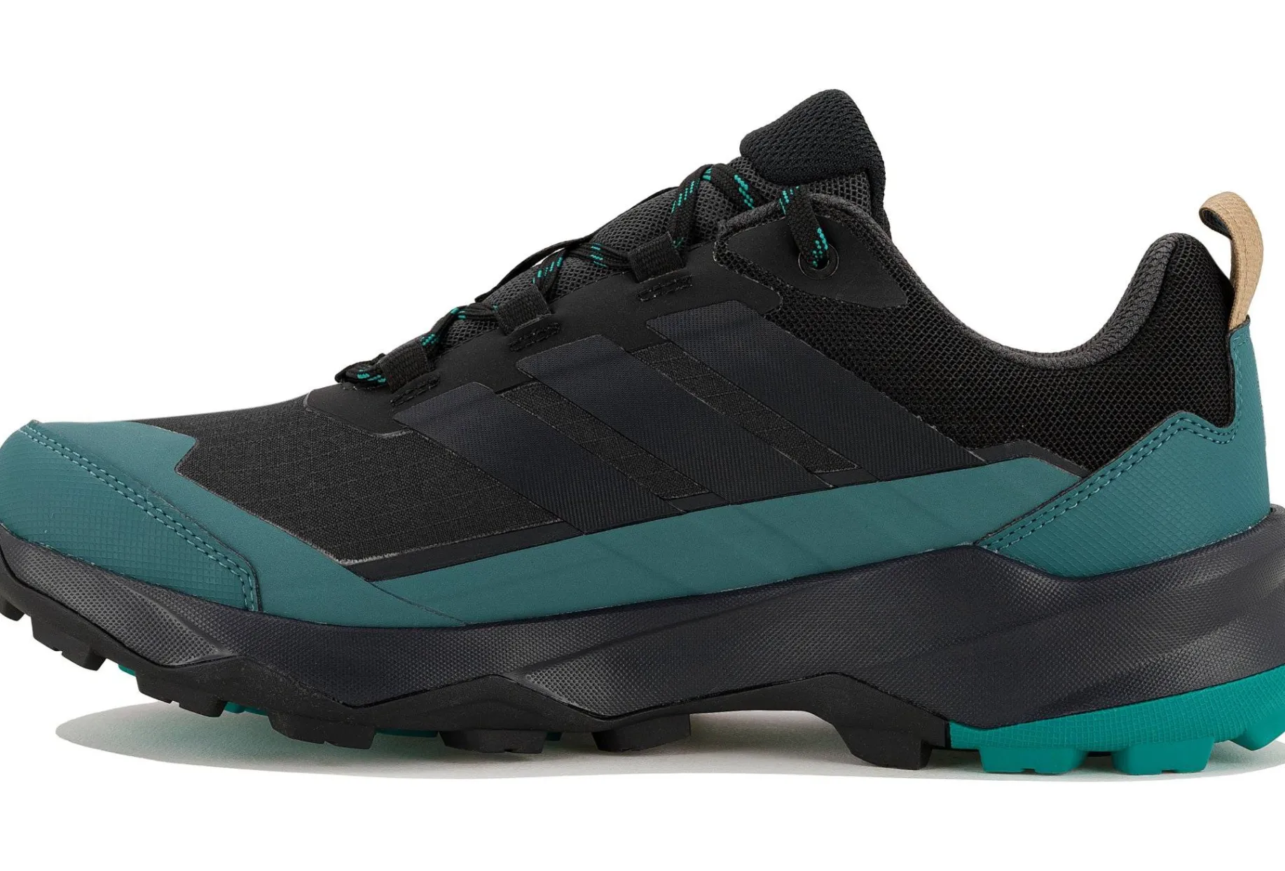 Terrex Skychaser AX5 Gore-Tex