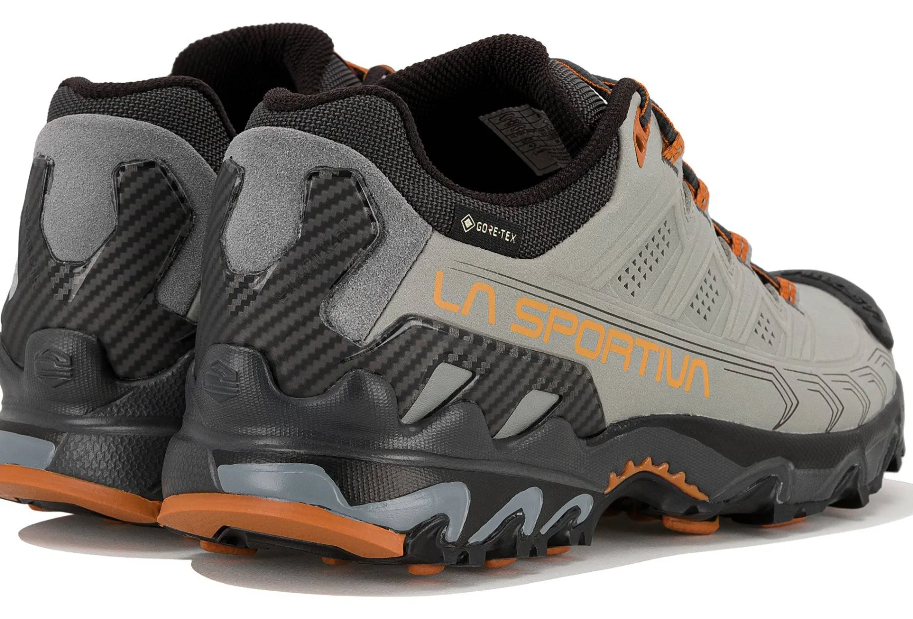 Ultra Raptor II Leather Gore-Tex
